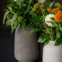 Pots de fleurs - Collection Rough - POTTERY POTS