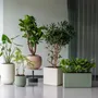 Pots de fleurs - Collection Elemental - POTTERY POTS