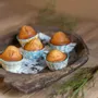Kitchen utensils - Muffin Tin RETRO - TRANQUILLO