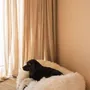 Lits - Lit ovale pour animal en peau de mouton naturelle – blanc - MELLOW CONCEPT STORE