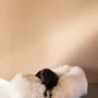 Lits - Lit ovale pour animal en peau de mouton naturelle – blanc - MELLOW CONCEPT STORE