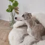 Lits - Grotte pour Animal en Peau de Mouton Naturelle – Blanche - MELLOW CONCEPT STORE