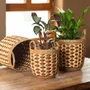 Storage boxes - Storage Baskets SEAWEED Set of 3 - TRANQUILLO