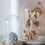 Decorative objects - Winter Glow - J-LINE BY JOLIPA