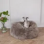 Lits - Lit Ovale pour Animal en Peau de Mouton Naturelle – Greige - MELLOW CONCEPT STORE