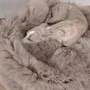 Lits - Lit Ovale pour Animal en Peau de Mouton Naturelle – Greige - MELLOW CONCEPT STORE