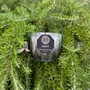 Candles - Handcrafted Luxury Soy Wax Candle - Drias - ANĀSA COLLECTION