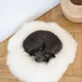 Beds - Round Natural Sheepskin Pet Bed - White - MELLOW CONCEPT STORE