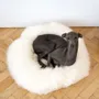 Beds - Round Natural Sheepskin Pet Bed - White - MELLOW CONCEPT STORE