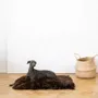 Beds - Square or Rectangular Natural Sheepskin Pet Mat - Brown - MELLOW CONCEPT STORE