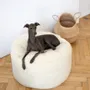 Beds - Oval Natural Wool Pet Bed - White - MELLOW CONCEPT STORE