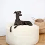 Beds - Oval Natural Wool Pet Bed - White - MELLOW CONCEPT STORE