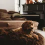 Beds - Oval Natural Sheepskin Pet Bed - Chocolate Brown - MELLOW CONCEPT STORE