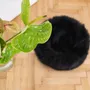 Lits - Lit Rond pour Animal en Peau de Mouton Naturelle – Noir - MELLOW CONCEPT STORE