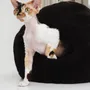 Beds - Nest Natural Sheepskin Pet Bed - Brown - MELLOW CONCEPT STORE