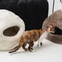 Lits - Grotte pour Animal en Peau de Mouton Naturelle – Beige - MELLOW CONCEPT STORE