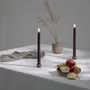 LED modules - Dusty Mulberry Classic Taper Candle - UYUNI LIGHTING