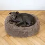 Beds - Oval Natural Wool Pet Bed - Beige - MELLOW CONCEPT STORE
