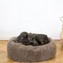 Beds - Oval Natural Wool Pet Bed - Beige - MELLOW CONCEPT STORE