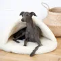 Beds - Natural Wool Pet Cave - White - MELLOW CONCEPT STORE