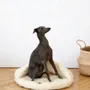 Beds - Natural Wool Pet Cave - White - MELLOW CONCEPT STORE