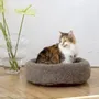 Lits - Lit Rond pour Animal en Laine Naturelle – Beige - MELLOW CONCEPT STORE