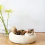 Lits - Lit Rond pour Animal en Laine Naturelle – Blanc - MELLOW CONCEPT STORE