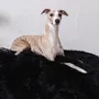 Beds - Oval Natural Sheepskin Pet Bed - Black - MELLOW CONCEPT STORE