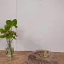 Lits - Lit Rond pour Animal en Peau de Mouton Naturelle - Greige - MELLOW CONCEPT STORE