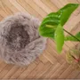 Lits - Lit Rond pour Animal en Peau de Mouton Naturelle - Greige - MELLOW CONCEPT STORE