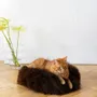 Lits - Lit Rond pour Animal en Peau de Mouton Naturelle - Marron - MELLOW CONCEPT STORE