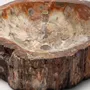 Lave-mains - Petrified wood Basin - PRESTONEX DESIGN PVT LTD