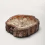 Lave-mains - Petrified wood Basin - PRESTONEX DESIGN PVT LTD