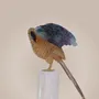 Sculptures, statuettes et miniatures - Plumage céleste - PRESTONEX DESIGN PVT LTD