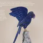 Sculptures, statuettes et miniatures - L'écho du ciel - PRESTONEX DESIGN PVT LTD