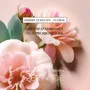 Home fragrances - Home recharge - AER INSIDE