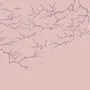 Wallpaper - Wall Murals - DAMI AND EM DESIGN