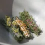 Gifts - Bouquets - French-style fumigation sticks (new fumigation sticks) - natural wellness fragrances - TOTEM NATURE