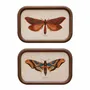 Frames - S/2 frames Butterfly - CHEHOMA