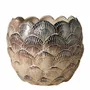 Vases - Round shell vase Pecten - CHEHOMA