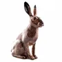 Chambres d'enfants - Tirelire - QUAIL DESIGNS EUROPE BV