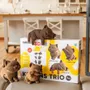 Children's arts and crafts - KITTENS TRIO - CARTONIC 3D puzzle - CARTONIC 3D PUZZLES