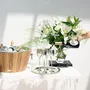 Cristallerie - Accessoires de table EDZARD - EDZARD