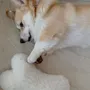 Decorative objects - Natural Sheepskin Dog Toy: Bone - White - MELLOW CONCEPT STORE