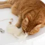 Decorative objects - Natural Sheepskin Cat Toy: Fish - MELLOW CONCEPT STORE