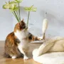Decorative objects - Natural Woolen Cat Toy: Fish - MELLOW CONCEPT STORE