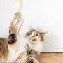 Decorative objects - Natural Woolen Cat Toy: Fish - MELLOW CONCEPT STORE