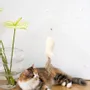 Decorative objects - Natural Woolen Cat Toy: Fish - MELLOW CONCEPT STORE