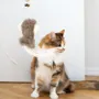 Decorative objects - Natural Sheepskin Cat Toy: Squid - MELLOW CONCEPT STORE