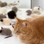 Decorative objects - Natural Sheepskin Cat Toy: Mouse - MELLOW CONCEPT STORE